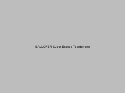 Kits electricos económicos para GALLOPER Super Exceed Todoterreno